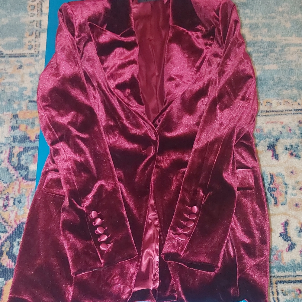 AKIRA Velvet Burgundy Blazer